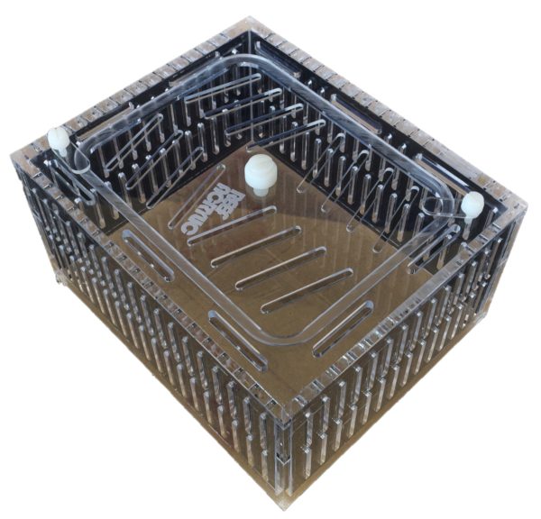 Mushroom Acclimation Box Small
