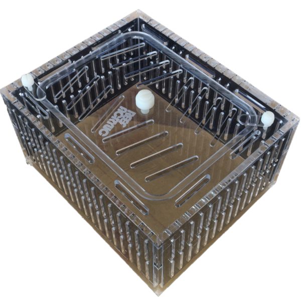 Mushroom Acclimation Box Small