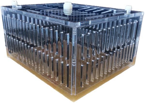 Mushroom Acclimation Box Small - Image 2