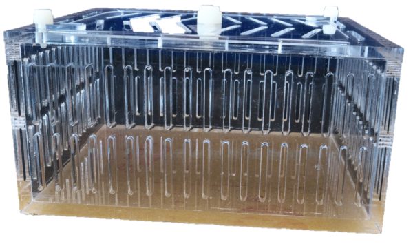 Mushroom Acclimation Box Small - Image 3