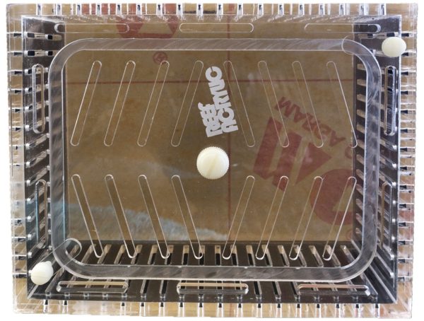 Mushroom Acclimation Box Small - Image 5