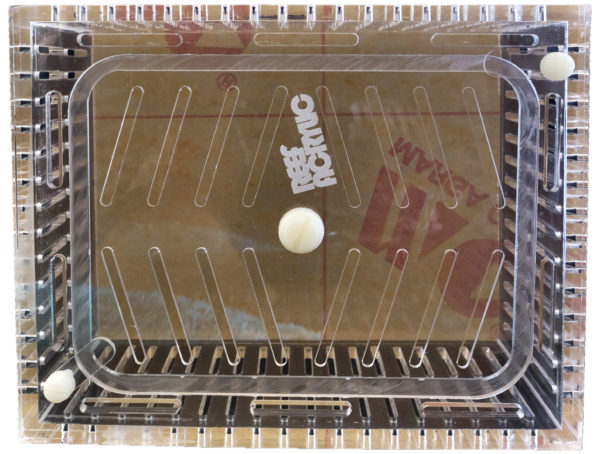 Mushroom Acclimation Box Small - Image 4