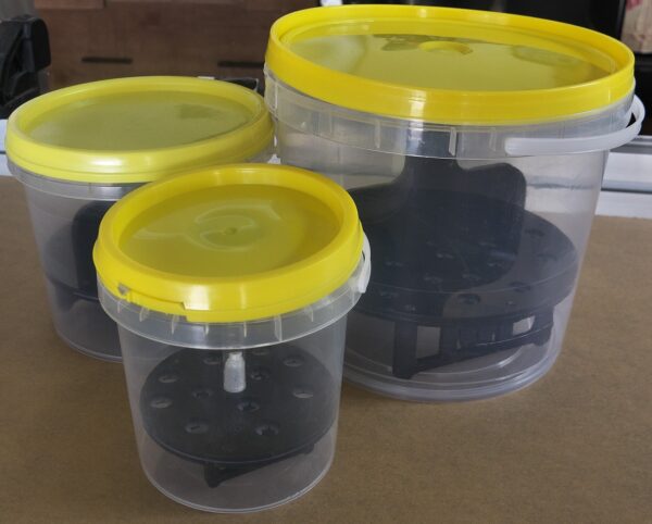 Coral Transporter Medium 2.5L - Image 7